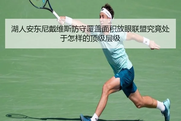 湖人安东尼戴维斯防守覆盖面积放眼联盟究竟处于怎样的顶级层级